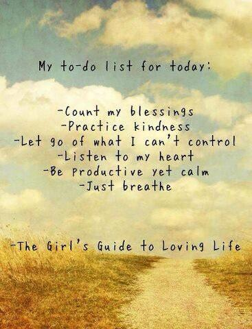 (Not Just) the Girl's Guide to Loving Life